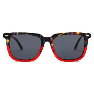 Retro Wayfarer Acetate Sunglasses - Multi-Tortoise Frame with Red Accent