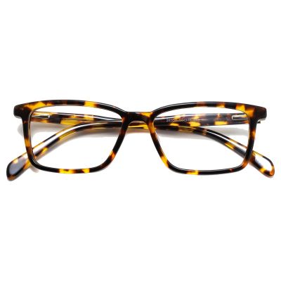 Bold Cat-Eye Acetate Frame - Golden Amber Tortoise