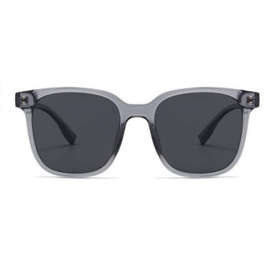 Rounded Frame Polarized Sunglasses for Everyday Wear