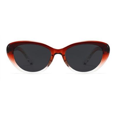 Retro Round TR90 Polarized Sunglasses Driving Shades