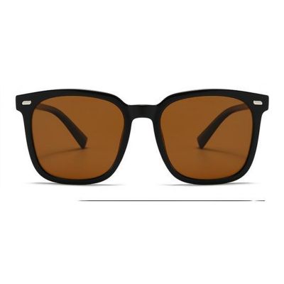 Rounded Frame Polarized Sunglasses for Everyday Wear
