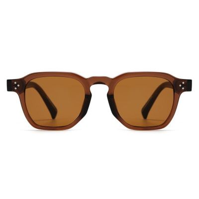 Small Oval Round Sunglasses Brown TR90