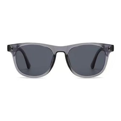 Smoke Gray Rounded Square Sunglasses Unisex