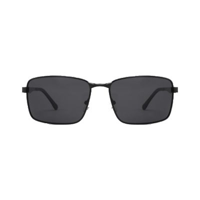 Aviator Navigator Metal Sunglasses with Double Bridge