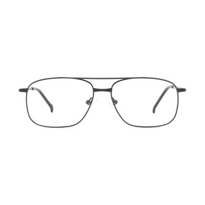 Double-Bridge Navigator Metal Optical Frame