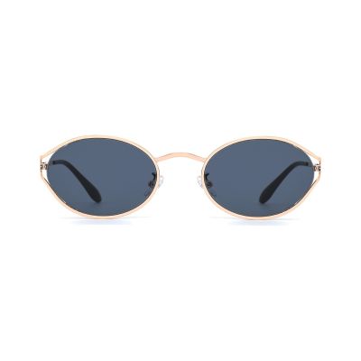 Retro Round Metal Sunglasses with Vintage Circular Lenses